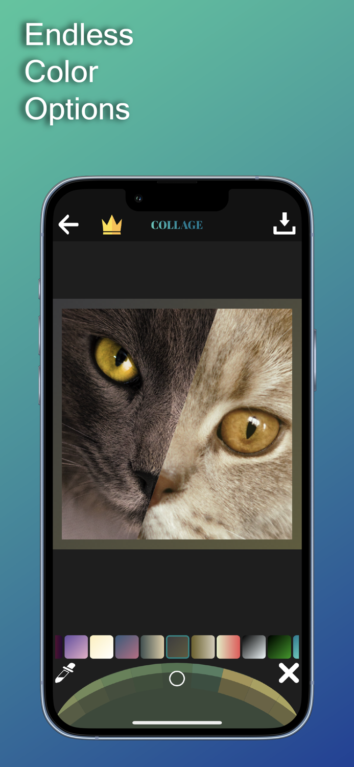 Collage Maker Collage Hub