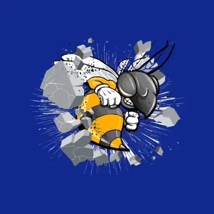 Rochelle ISD Hornets Читы