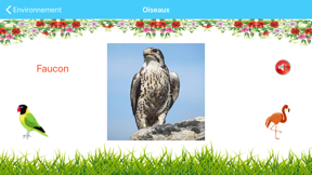 Alphabet Learning App screenshot