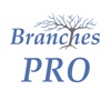 Branches Pro icon