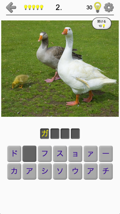 世界の鳥 - 地球の有名な鳥のクイズ screenshot1