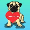 Stickers Pug Dog Funny