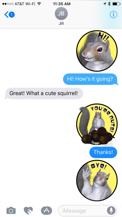 Squirrel Sensation