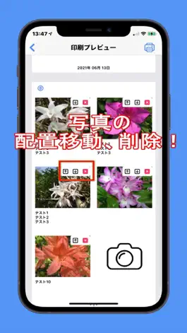 Game screenshot Photobook creation hack