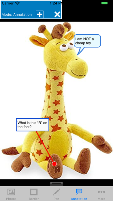 Screenshot #2 pour Photo Extra