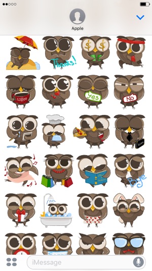Cute and Funny Owl(圖2)-速報App