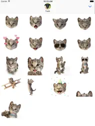 Little Kitten Stickers ipad bilder 0