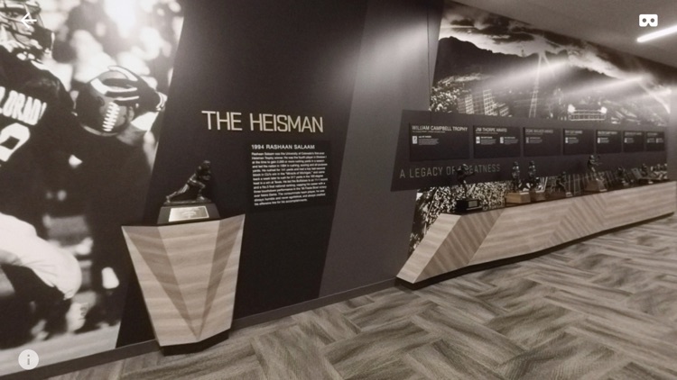 Buffs VR screenshot-3