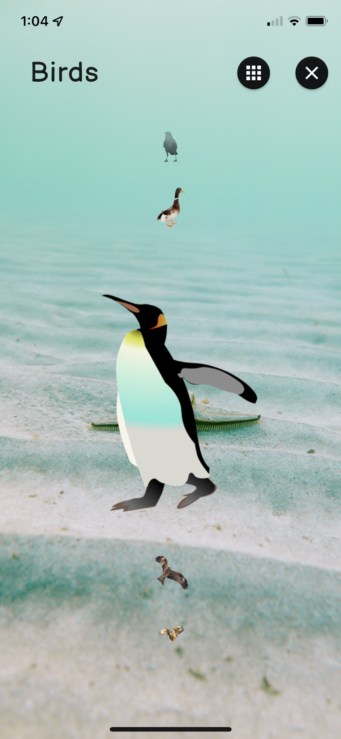 Jungle Book Sounds for kids