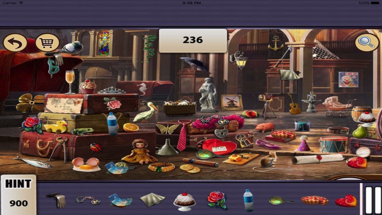 Hidden Objects : Grandma Coins