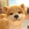 アプリアイコン