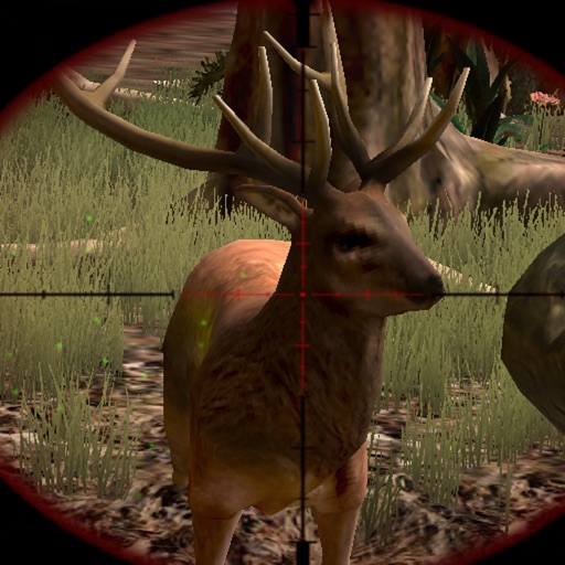 Wild Buck Hunter Reloaded iOS App