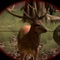 Wild Buck Hunter Reloaded