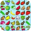 Fruits Link Link icon