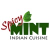 Spicy Mint Albany icon