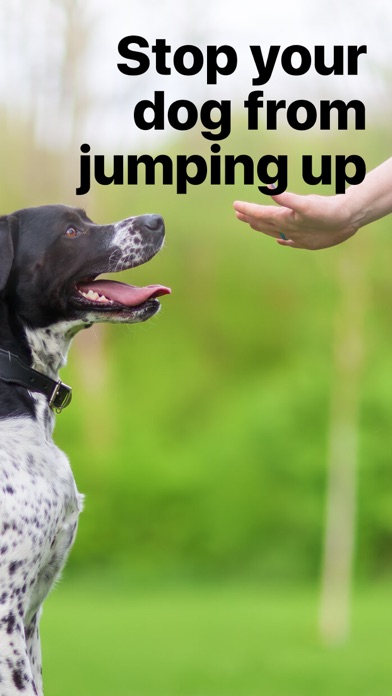 EveryDoggy - Dog Training App Screenshot
