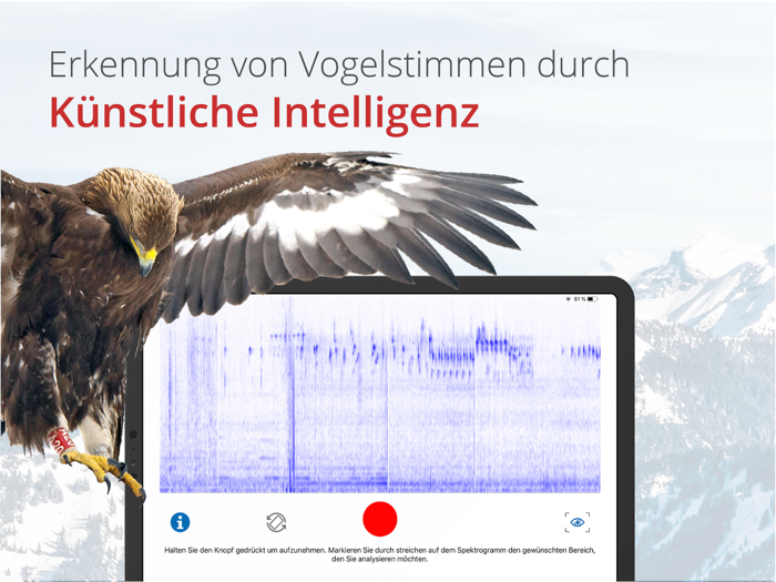 Vogelführer Birdlife Schweiz