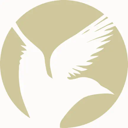 BirdCalls.is Читы