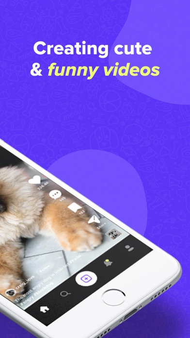 Zoomie - Animal Short Videos Screenshot