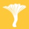 This app will help you keep track of exactly where your favorite mushroom places are and how to find them again