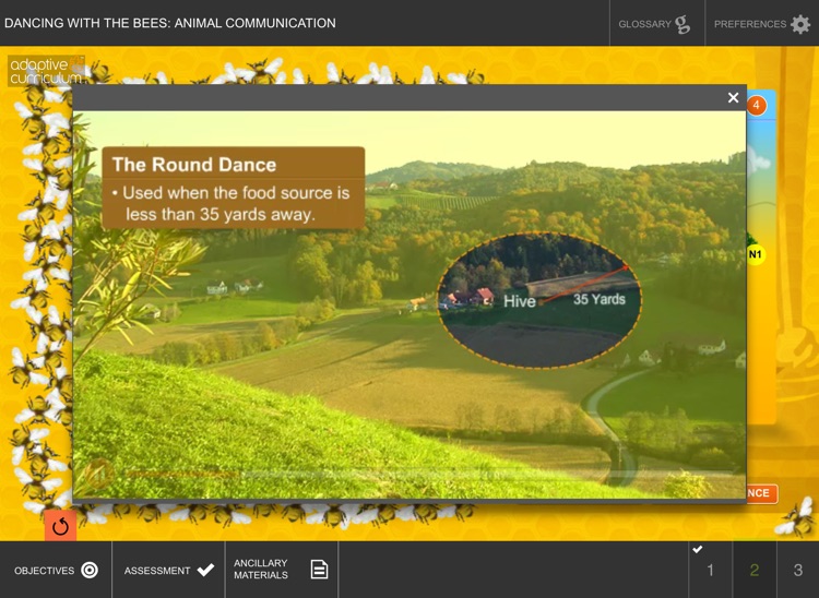 Dancing with the Bees screenshot-3