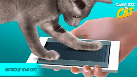 Running Track for Cat