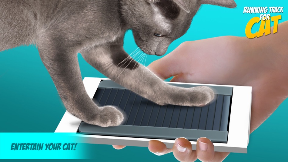 #1. Running Track for Cat (iOS) 由: Alina Sapolgina