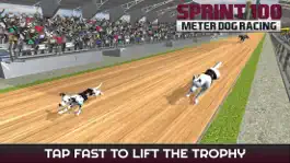 Game screenshot Sprint 100 Meter Dog Racing : Race Dogs On Tracks apk