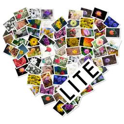 FigrCollage 2 Lite Edition app icon