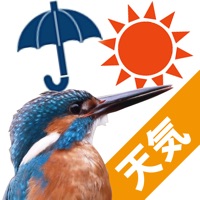 バードウェザー〜綺麗な野鳥と天気予報〜 apk