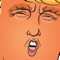 Build a wall as high as possible for Donald Trump