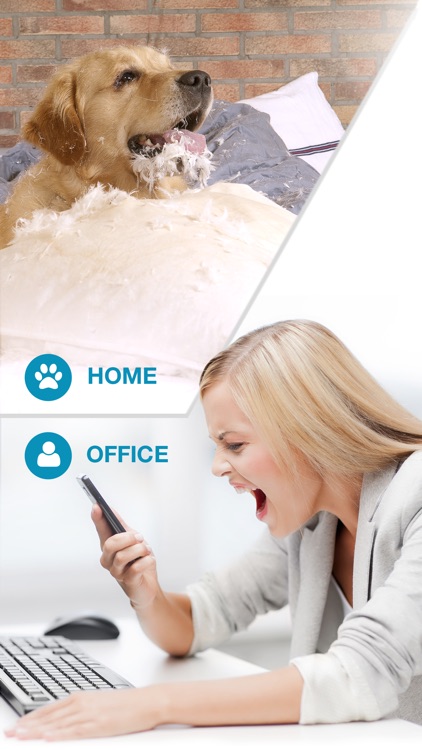 Dog Monitor: Pet Watcher & Sitter Cam, WiFi,LTE,3G