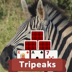 Activities of TriPeaks Wild Animals