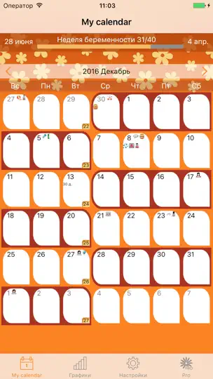 Скриншот WomanLog Pregnancy Calendar на iPhone 1