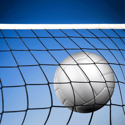 Volleyball Workout:A Body Like A Volleyball Player