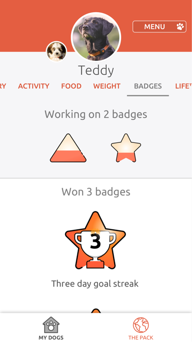 PitPat Screenshot