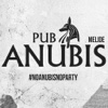 Pub Anubis