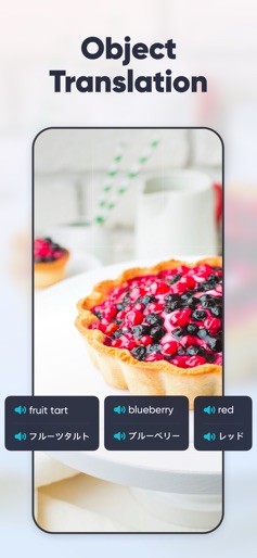 U Dictionary Translator screenshot 7