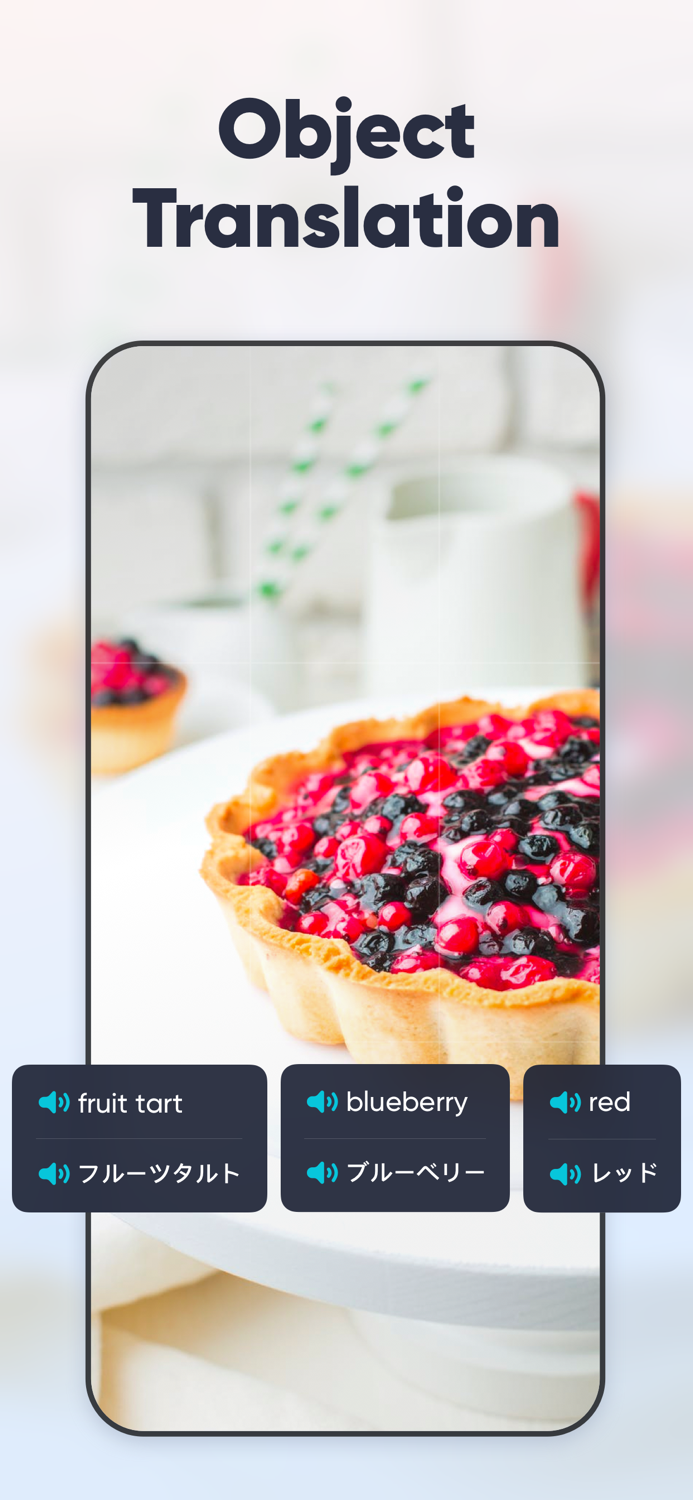 UDictionary Translator