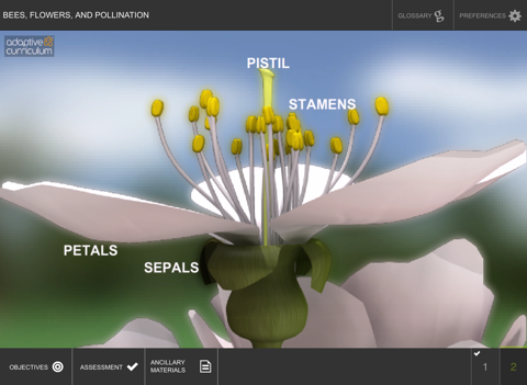 Bees, Flowers, and Pollination screenshot 3