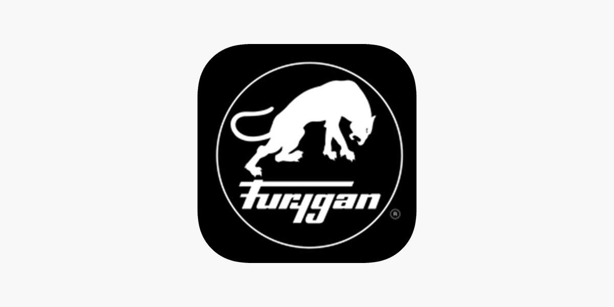 Fury Heat System dans l'App Store