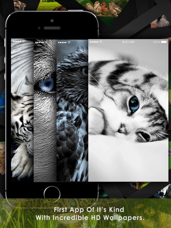 Screenshot #6 pour Cool Animals HD Awesome Themes & Wallpapers