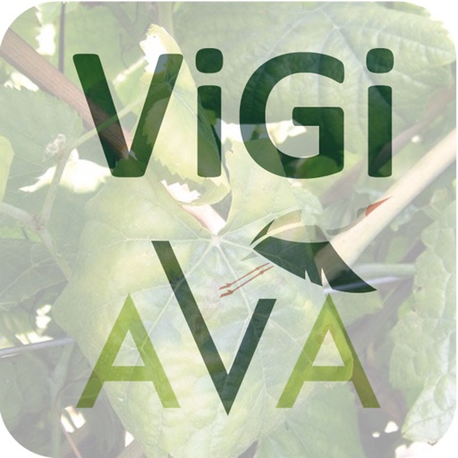 Vigi-AvA icon