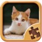 Cute Kitty Jigsaw Puzzle Games - Kitten Puzzles