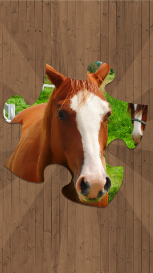 Horse Jigsaw Puzzles - Brain Training Games - 1.4 - (iOS)