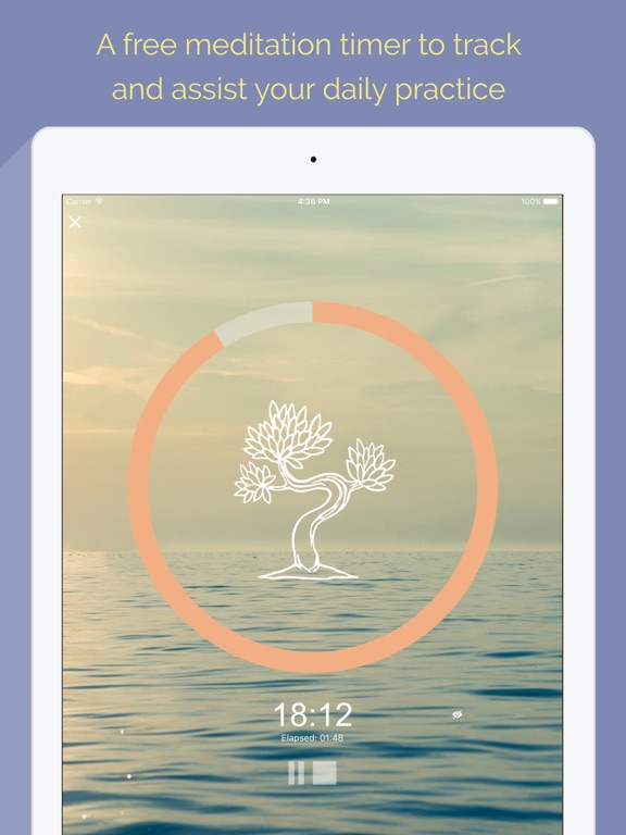 Screenshot #5 pour Meditation Timer