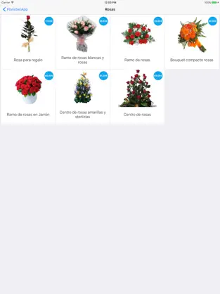 Captura de Pantalla 3 FloristeriApp - Tienda online para enviar flores iphone