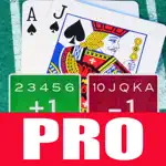 A Blackjack Card Counter - Professional App Problems