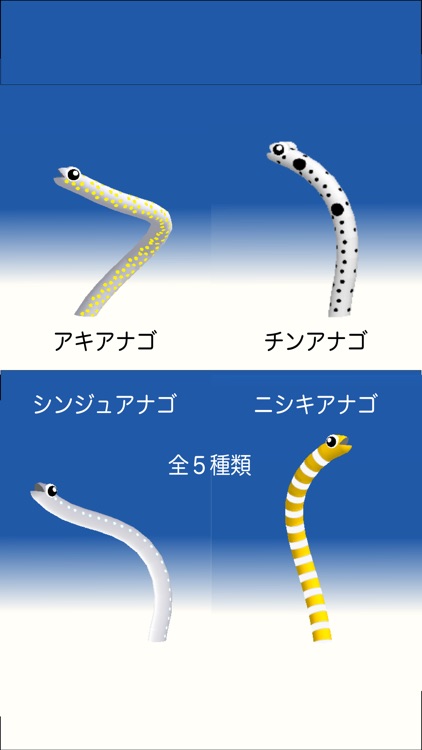 Garden Eel