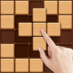 Block Puzzle-Wood Sudoku Game icône